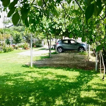 Marianna-nina Holidays *