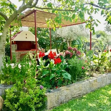 Vila Marianna-nina Holidays