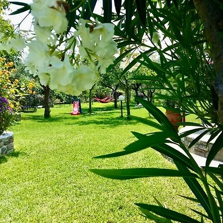 Marianna-nina Holidays Paralia Sikias