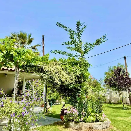 Marianna-nina Holidays Villa