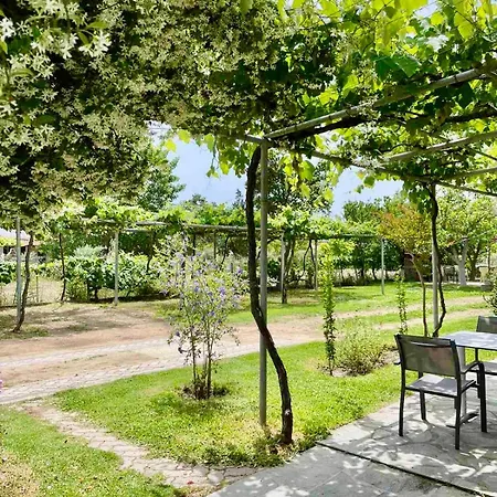 Marianna-nina Holidays Vila Paralia Sikias